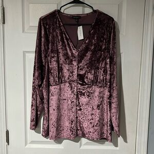 Purple Velvet Blouse Top 22/24 BNWT